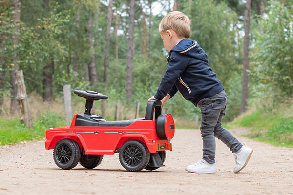 Rugleuning/duwstang achterop