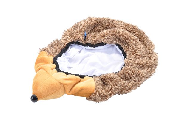 De egel heeft een lief gezichtje.