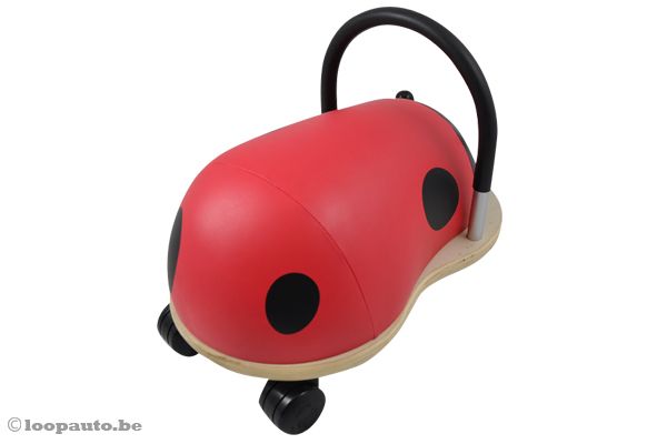 Dit lieveheersbeestje is er klaar voor.