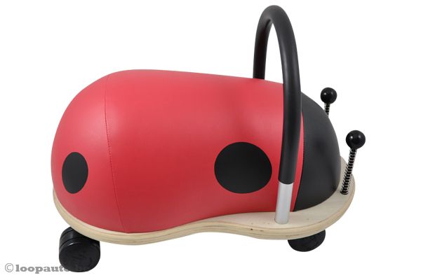 Geinige voelsprieten aan de voorzijde